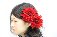 ヘアーオーナメント