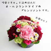 母の日特集アレンジメント